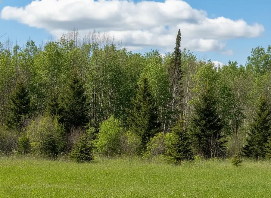 tbd Wildflower Lane Ne, Blackduck, MN 56630 - #3