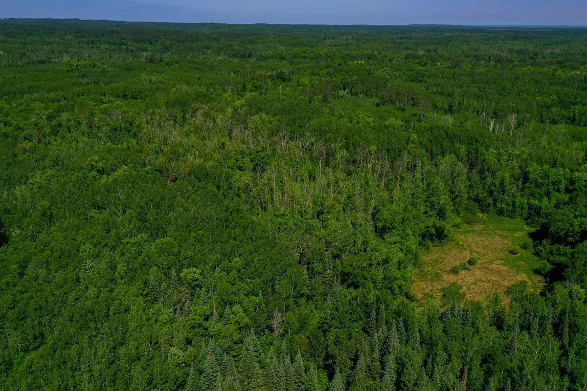 TBD County Highway 47, Osage, MN 56570 - #1