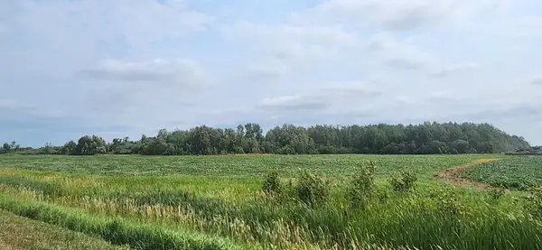 TBD 330th Avenue Ne, Goodridge, MN 56725