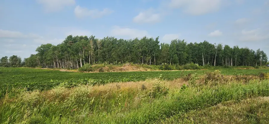 TBD 340th Avenue Ne, Goodridge, MN 56725 - #2