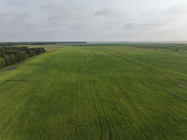 390th 390th St Nw, Stephen, MN 56757