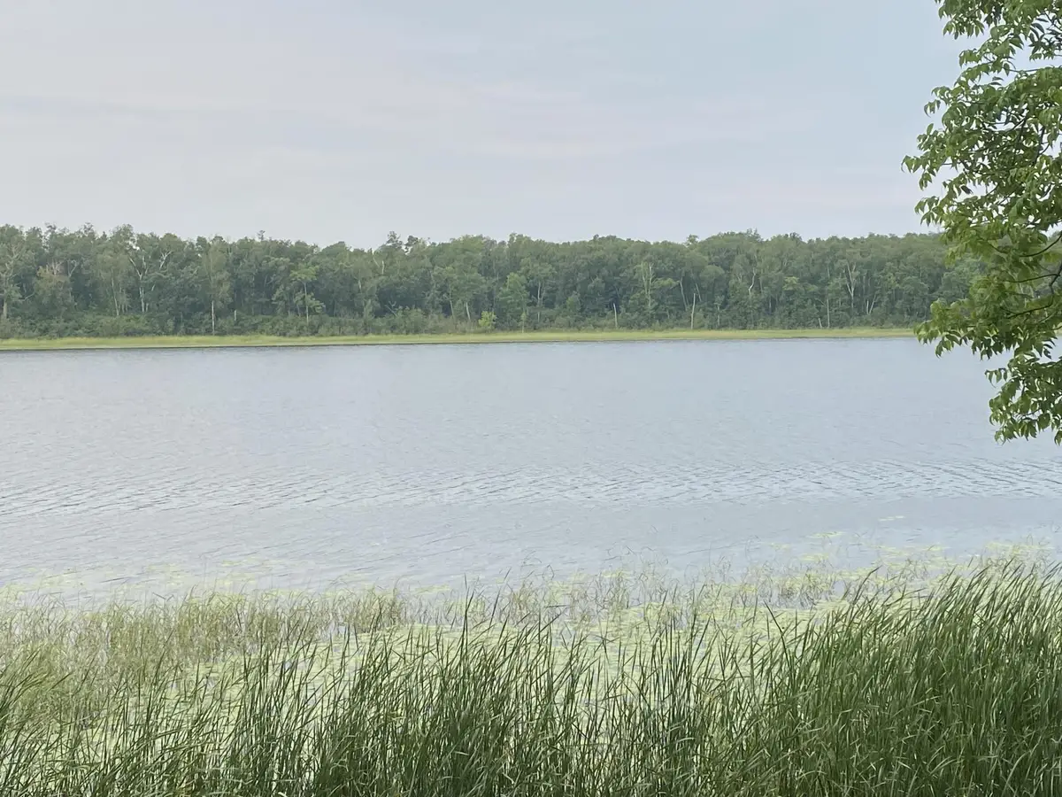 TBD Wolf Ridge Drive, Cass Lake, MN 56633 - #1