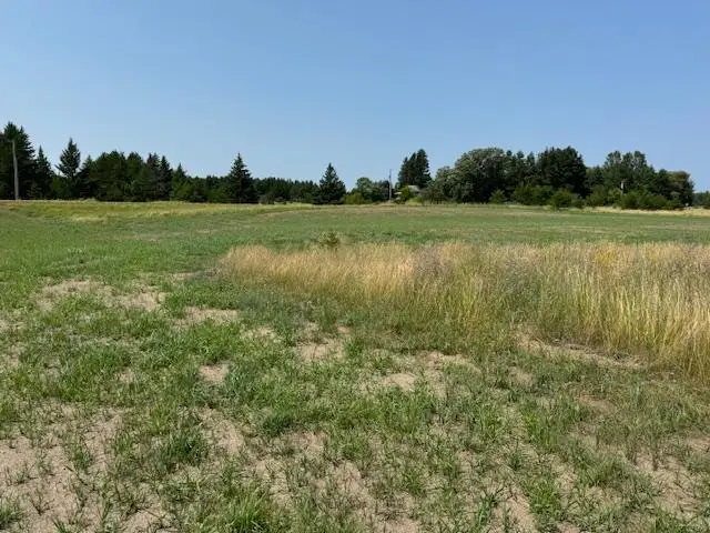 TBD Buchanan Avenue Sw, Bemidji, MN 56601 - #1