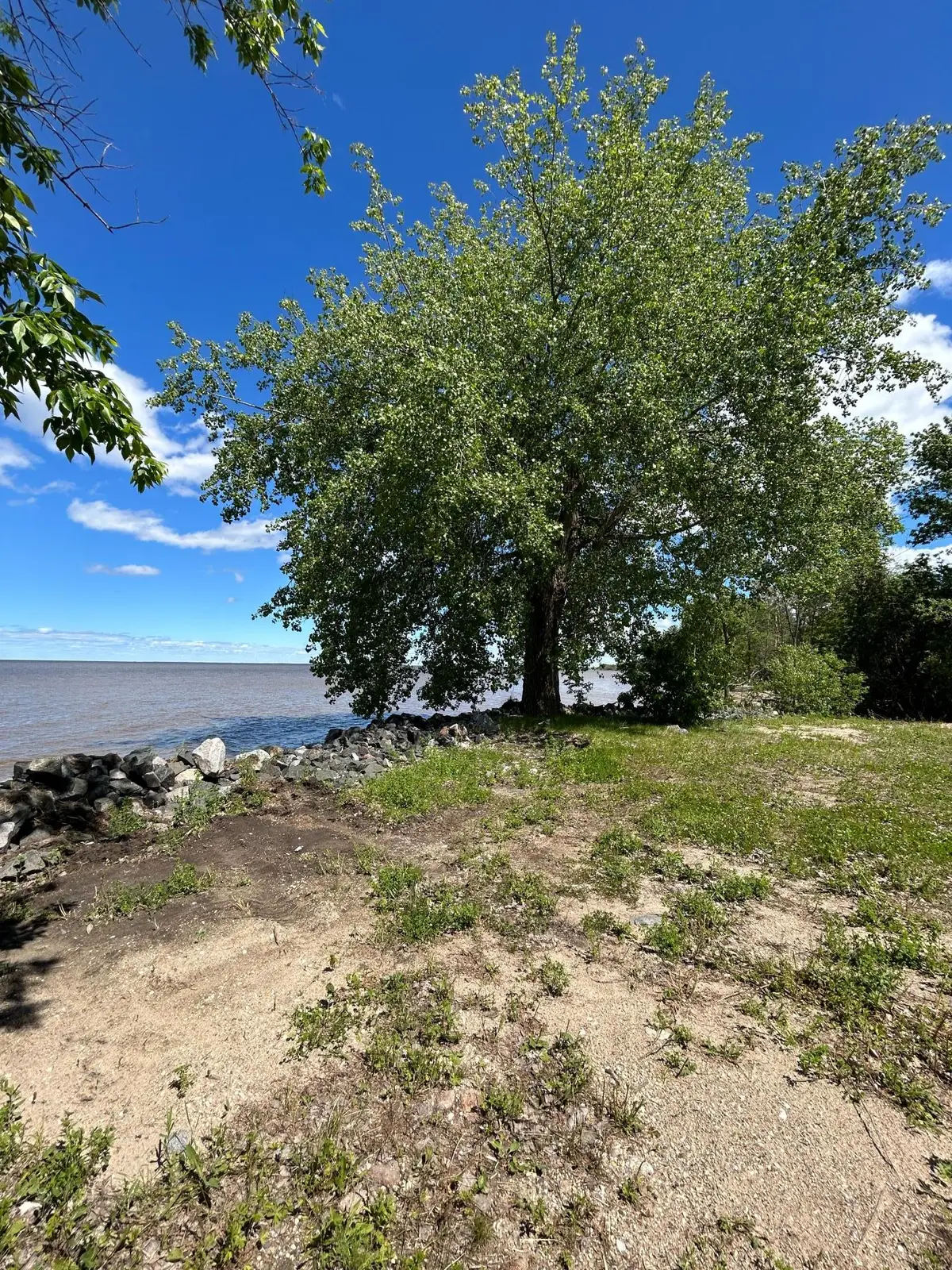 4548 Graceton Beach Road Nw, Williams, MN 56686 - #1