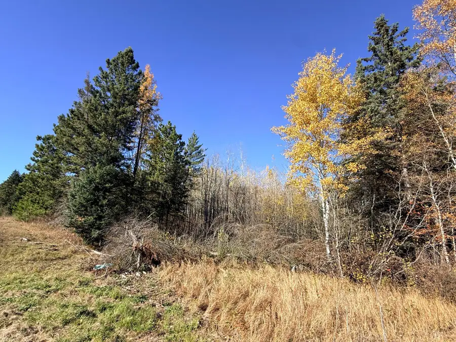TBD Trengove Road Nw, Solway, MN 56678 - #2