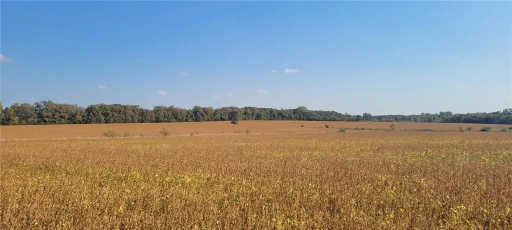 Lot 3 151st & Moonlight Street, Gardner, KS 66061 - #1