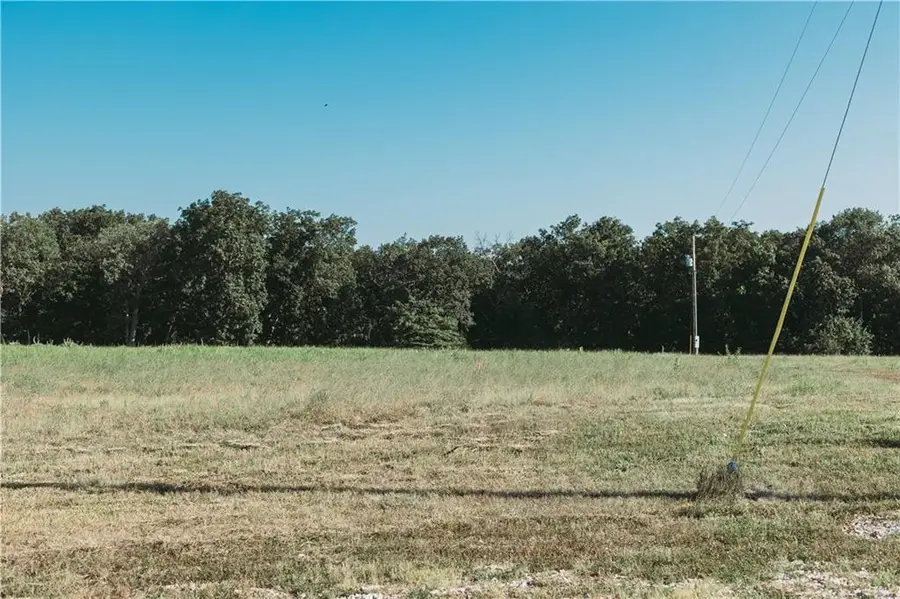 809 SE 600th Road, Knob Noster, MO 65336 - Image #2