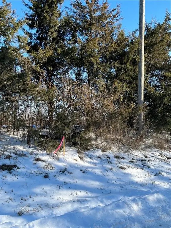 Track 2 Orrick Road, Excelsior Springs, MO 64024 - Image #2