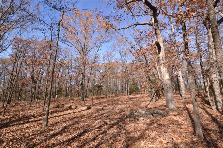 000 S Highway Aa N/a, Stockton, MO 65785 - Image #2