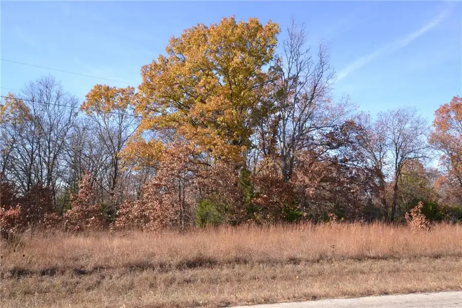 000 S Highway Aa N/a, Stockton, MO 65785 - Image #3