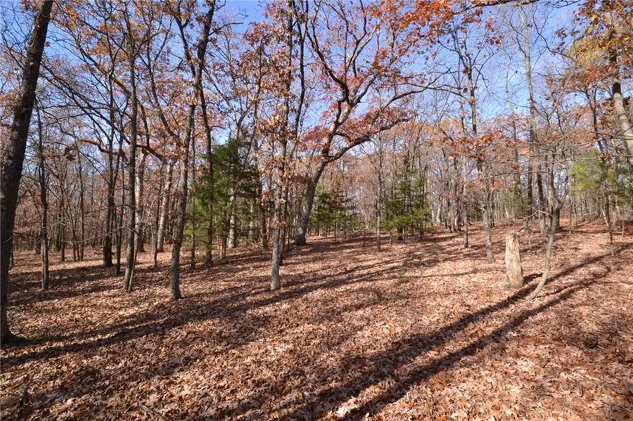 001 S Highway Aa N/a, Stockton, MO 65785 - Image #3