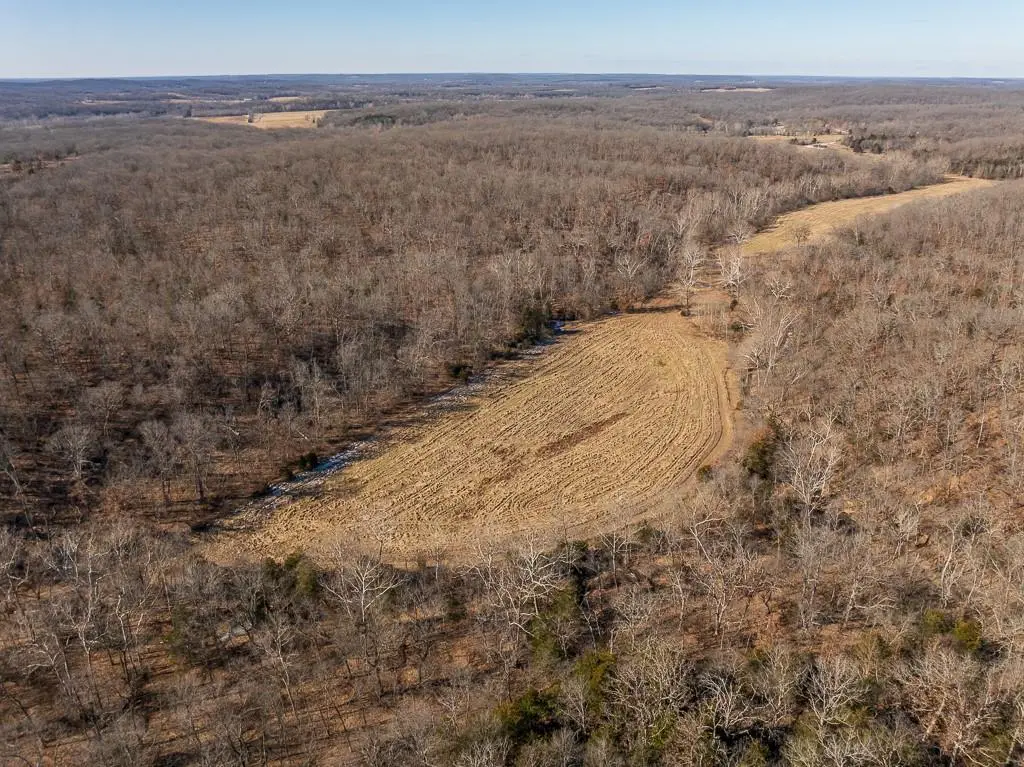 J Hwy Highway, Collins, MO 64738 - #1