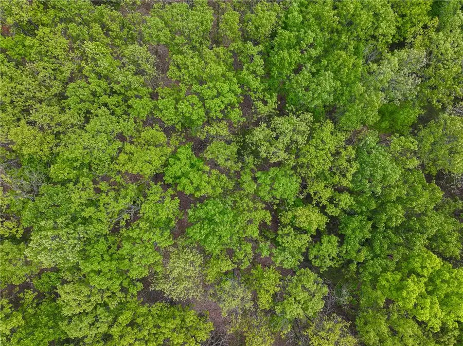 11375 NE 50 Road, Osceola, MO 64776 - Image #3