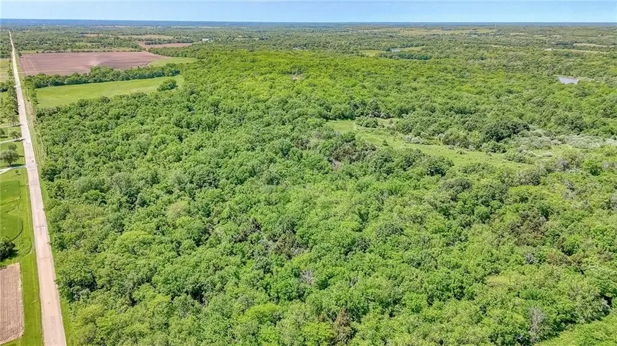 Lot 9 Deer View Estates Road, Holden, MO 64040 - Image #2