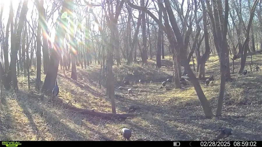 355th Street, Osawatomie, KS 66064 - #2