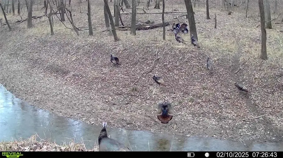 355th Street, Osawatomie, KS 66064 - #3