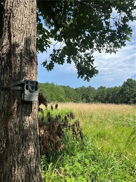 County Road Y 617 Road, Birch Tree, MO 65438 - #3