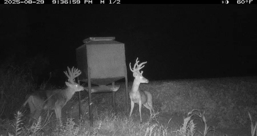 #3