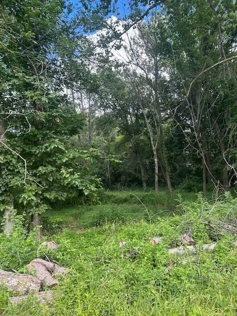 TBD S Walker Road, Harrisonville, MO 64701 - Image #2