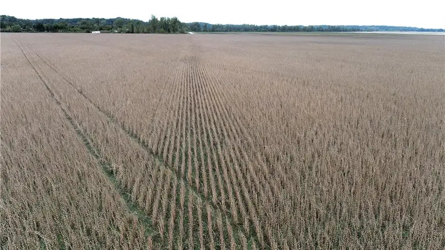 County Road 412 Road, De Witt, MO 64639 - #2