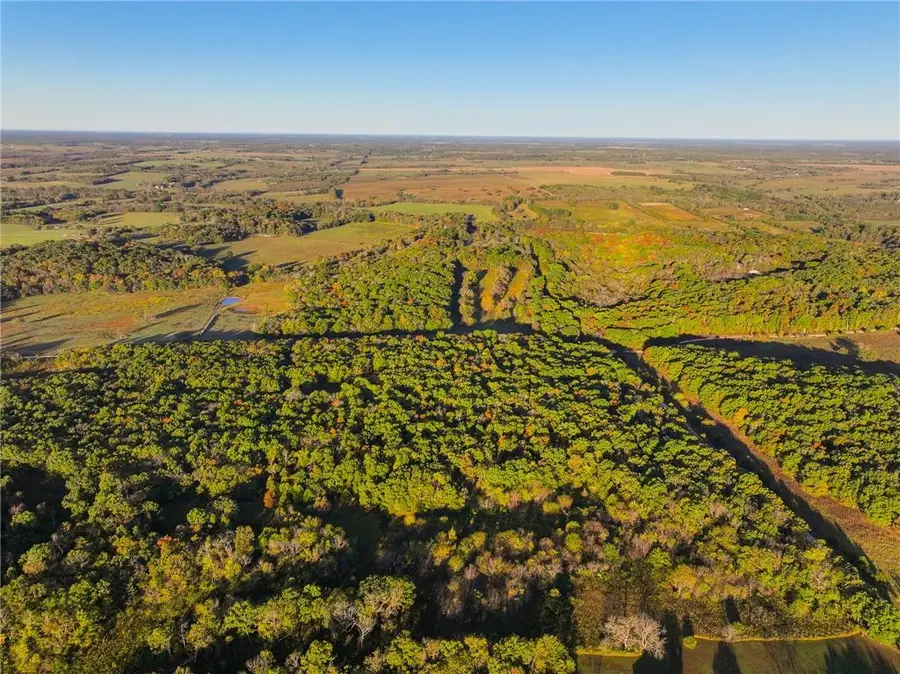 21395 S 725 Road, Stockton, MO 65785 - Image #3