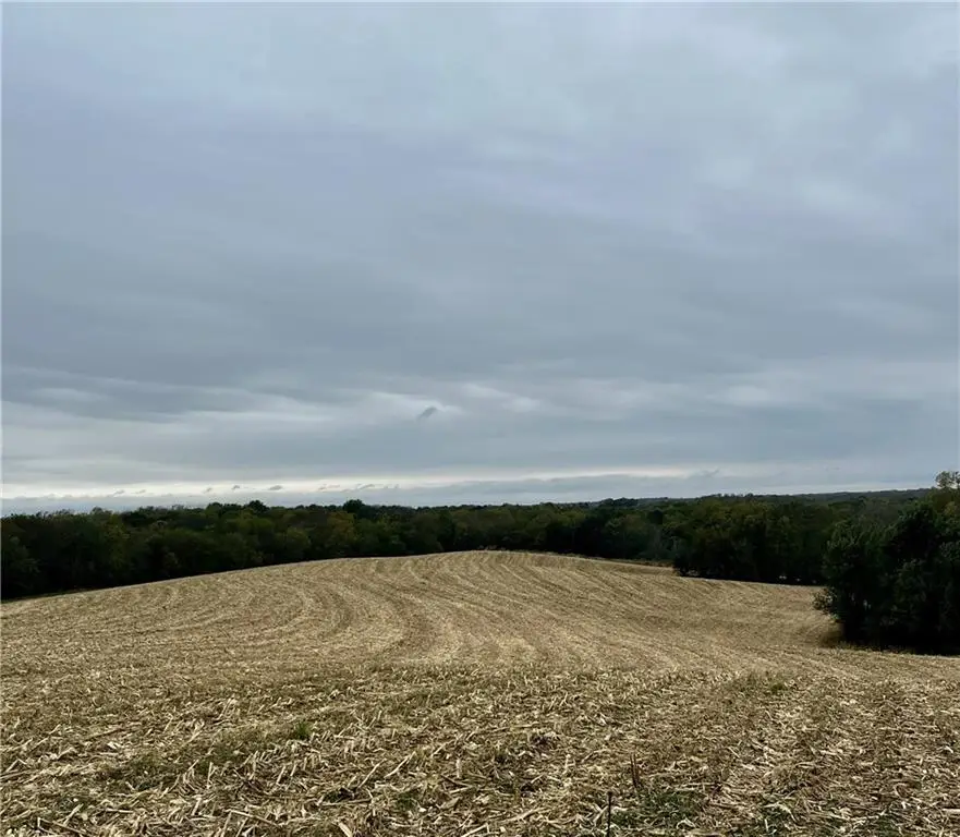 Tract 2 County Road 422 Road, Amazonia, MO 64421 - Image #1