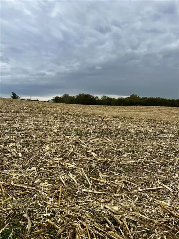 Tract 2 County Road 422 Road, Amazonia, MO 64421 - Image #3