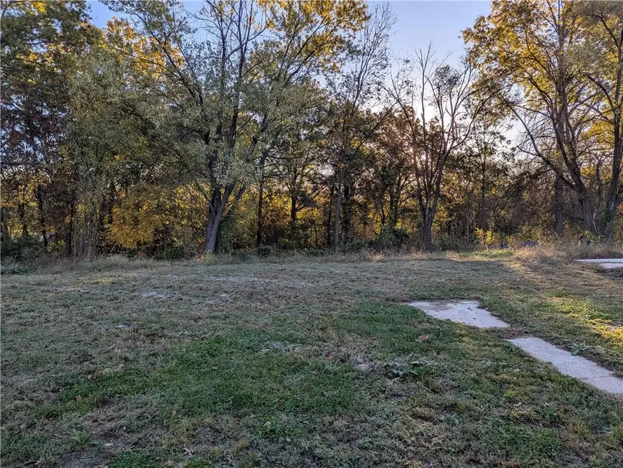 201 S Jackson Street, Freeman, MO 64746 - Image #3