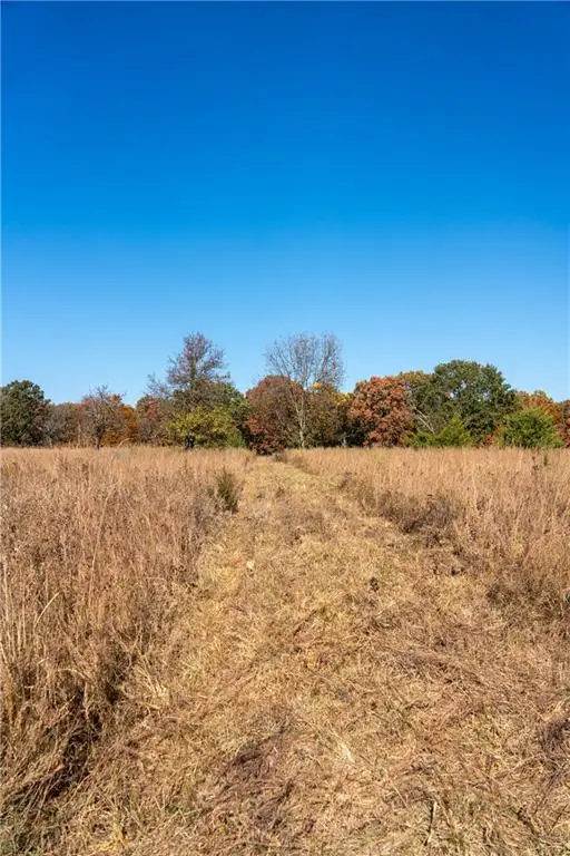 11201-11999 SE 700 Highway, Weaubleau, MO 65774 - Image #2