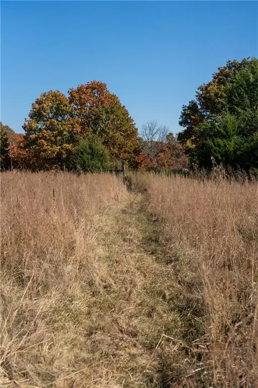 11201-11999 SE 700 Highway, Weaubleau, MO 65774 - Image #3