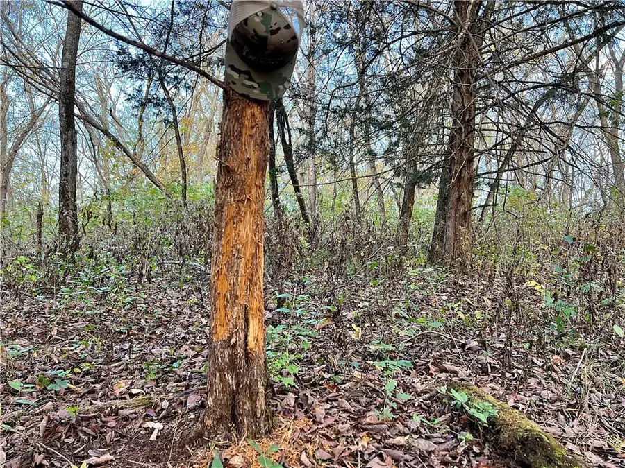 250th Street, Jameson, MO 64647 - Image #2