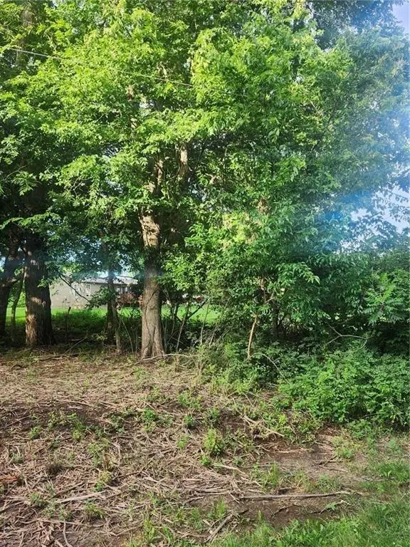 145 Kansas Drive, Linn Valley, KS 66040 - Image #3