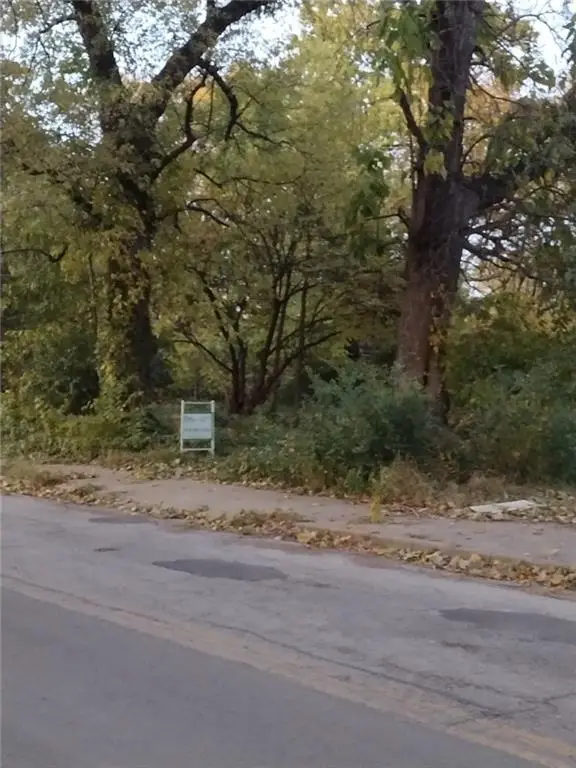 737 N Montgall Avenue, Kansas City, MO 64120 - Image #3