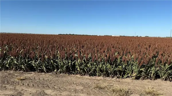 Meade County C Road, Other, KS 67844