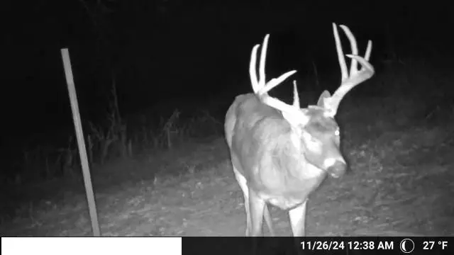 432 Road, Savannah, MO 64485 - Image #3