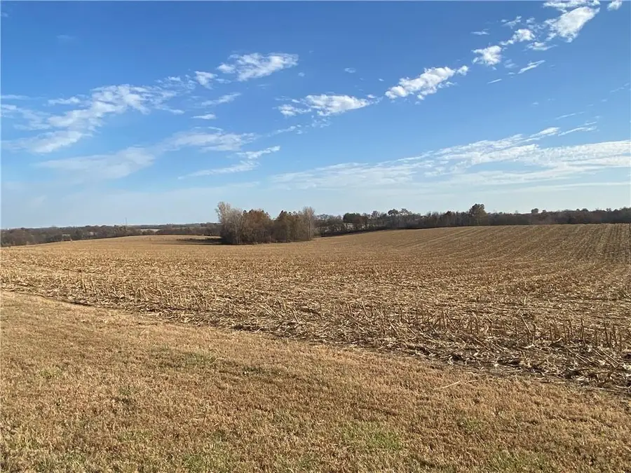 3298 SE Taos Road, Faucett, MO 64448 - Image #3