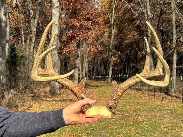 6745 E Cc Highway, Stockton, MO 65785