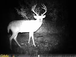 3025 Utah Terrace, Rantoul, KS 66079 - Image #1