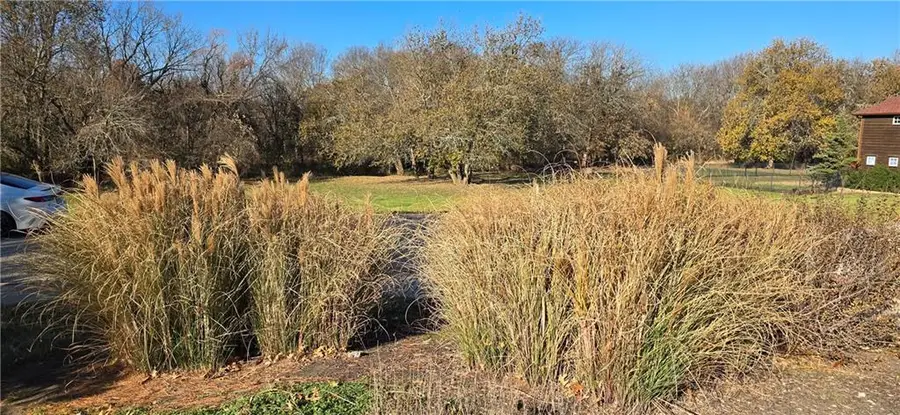 701 6th Street, Baldwin City, KS 66006 - Image #3