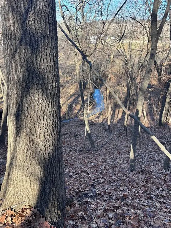 U Highway, Camden Point, MO 64079