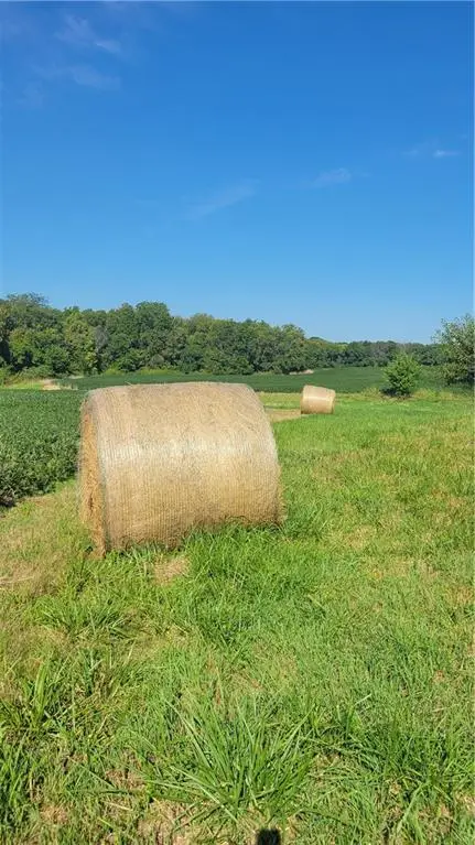 3431 Old Stage Road, Mayview, MO 64071 - Image #2