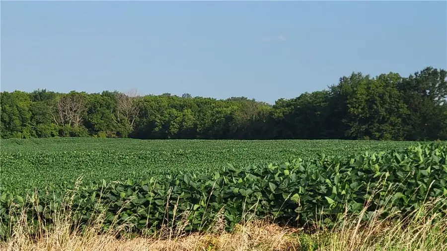 3431 Old Stage Road, Mayview, MO 64071 - Image #3