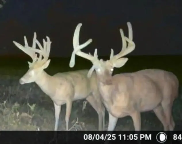 Address Withheld By Seller, Wellington, KS 67152 - Image #1