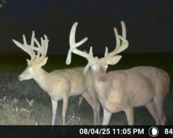 Address Withheld By Seller, Wellington, KS 67152