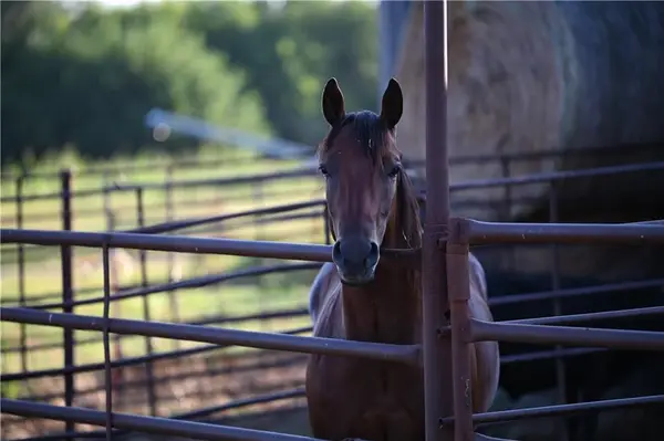 E Nn Highway, Milo, MO 64767