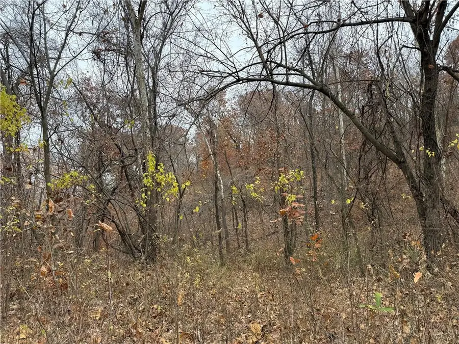 Dover Bluff Road, Waverly, MO 64096 - Image #3