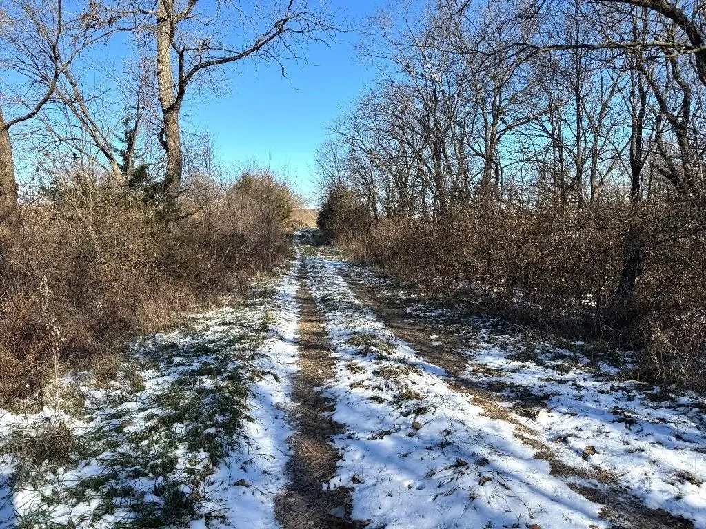TBD Hwy Dd Highway, Gallatin, MO 64640 - Image #1