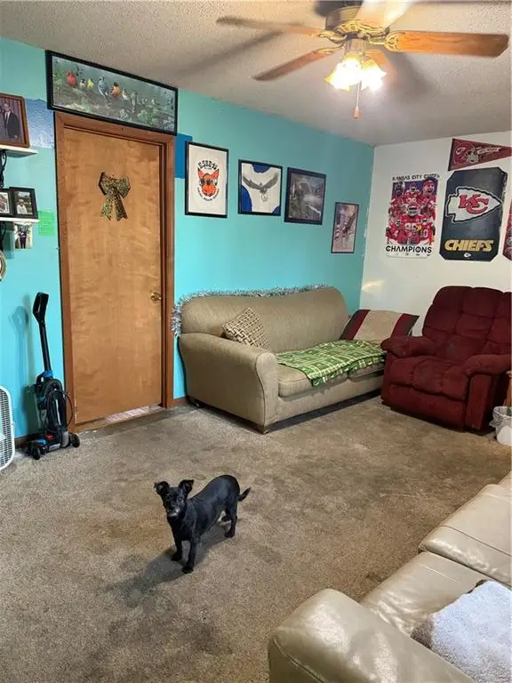 223 N Fourth Street, Iola, KS 66749