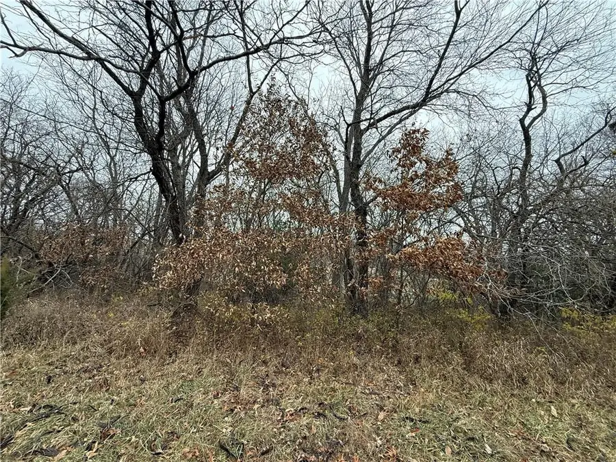 Lot 2349 Neptune Court, Gallatin, MO 64640 - Image #2