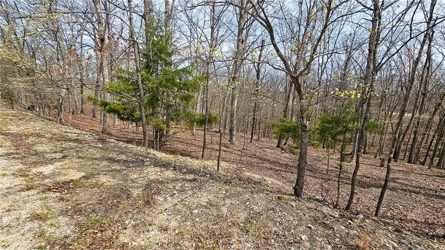 Lot #362 Lake Drive, Sunrise Beach, MO 65079 - Image #2